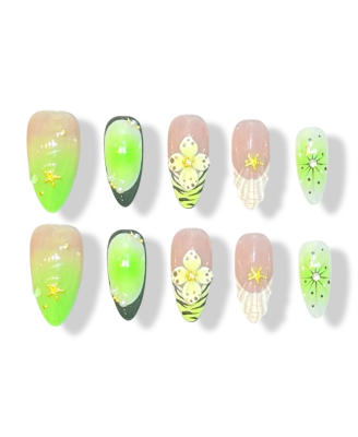 Kiwi Seed	· Finger Nail